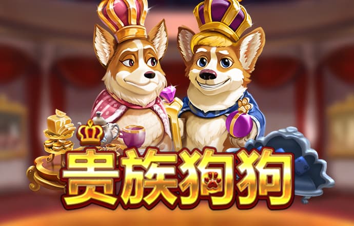 星空8688tv直播下载